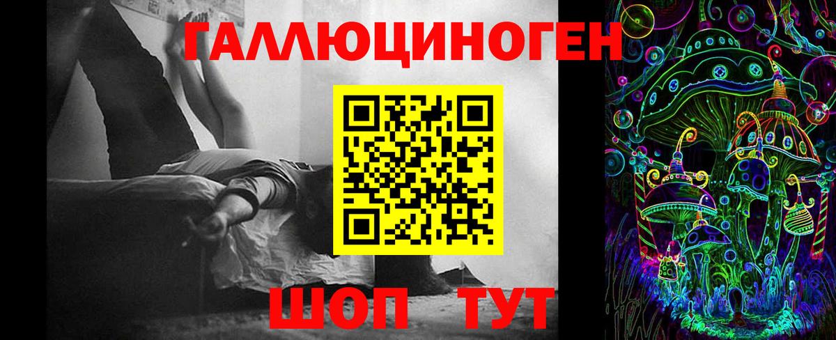 Королёв  Псилоцибиновые грибы Psilocybe  Вход с VPN  Псилоцибиновые грибы мухоморы 